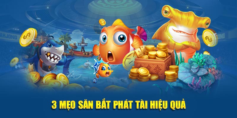 3 mẹo săn bắt phát tài hiệu quả