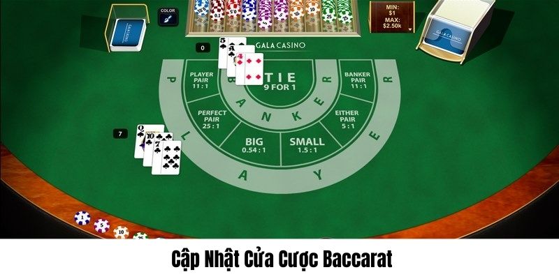 Nhiều cửa cược tại casino tùy chọn