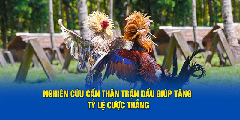 Nghiên cứu cẩn thận trận đấu giúp tăng tỷ lệ cược thắng